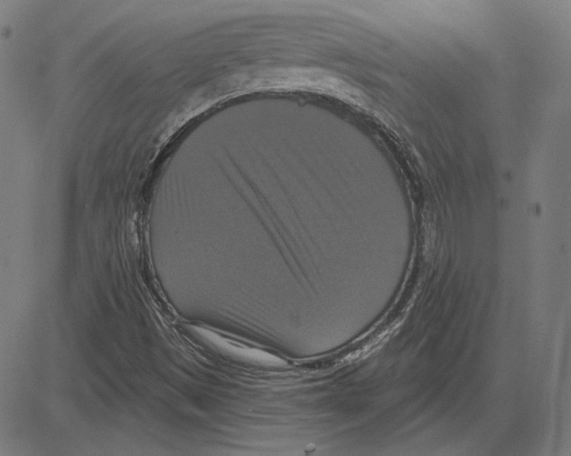 X0000083651497200703121732