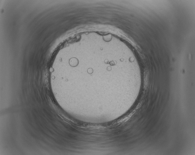 X0000083651498200703121732