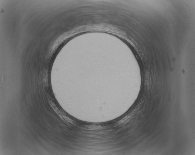 X0000083651499200703121732