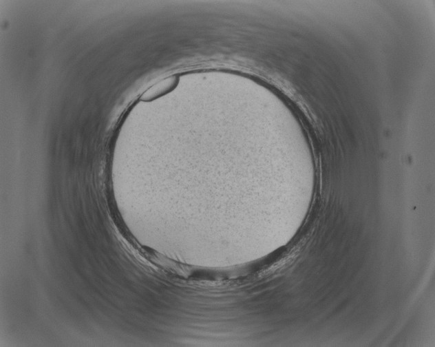 X0000083651500200703121732