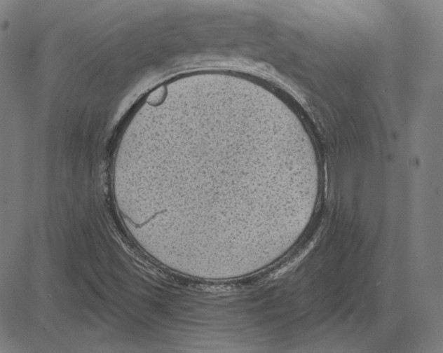 X0000083651501200703121732