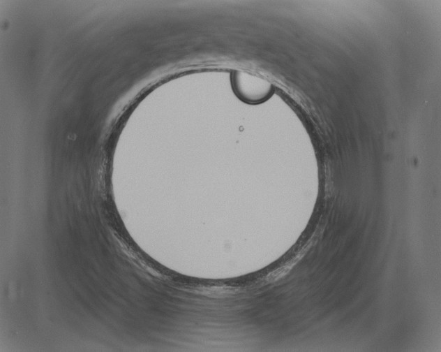 X0000083651502200703121732