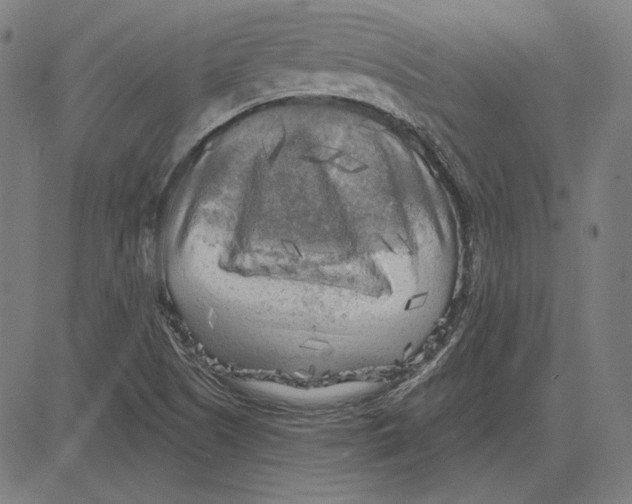 X0000083651505200703121732