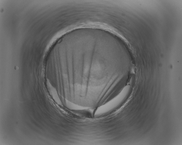 X0000083651506200703121732