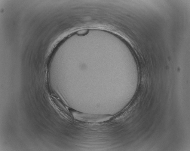 X0000083651507200703121732