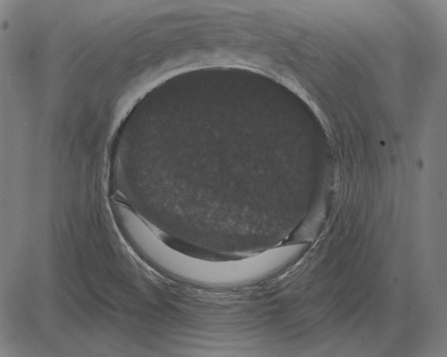 X0000083651508200703121732