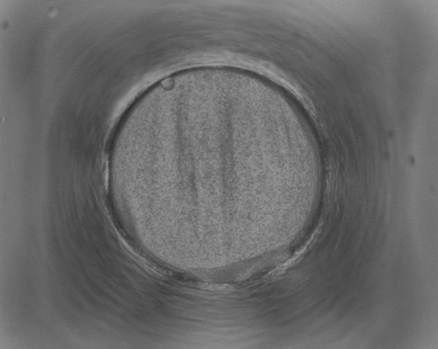 X0000083651509200703121732