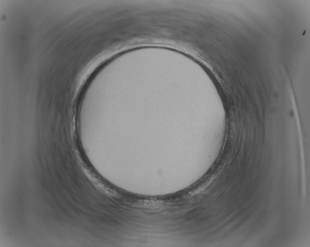 X0000083651511200703121732