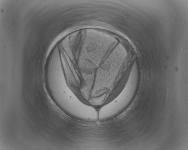 X0000083651514200703121732