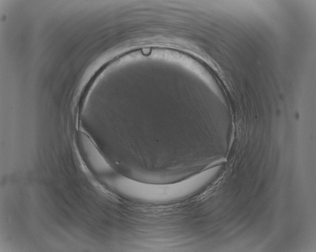 X0000083651515200703121732