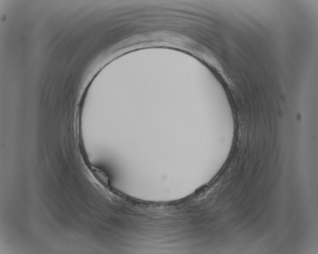 X0000083651516200703121732