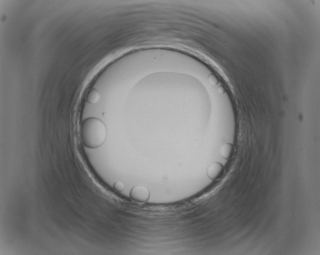 X0000083651517200703121732