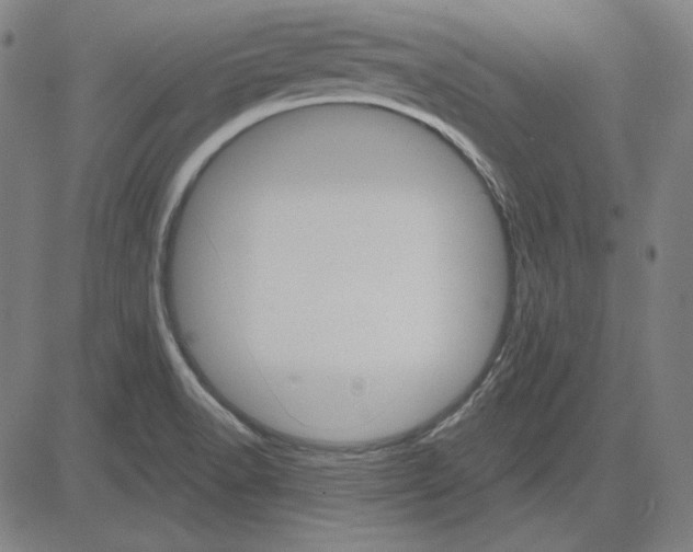 X0000083651518200703121732