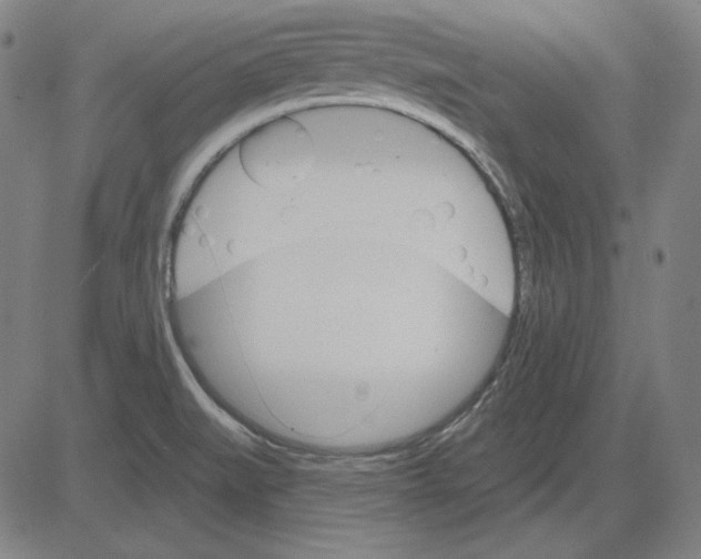 X0000083651519200703121732