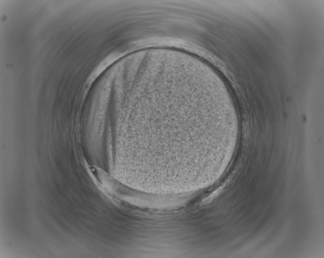 X0000083651521200703121732