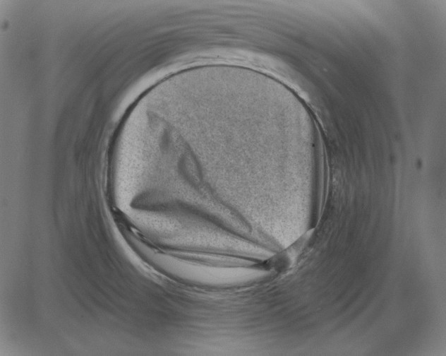 X0000083651523200703121732