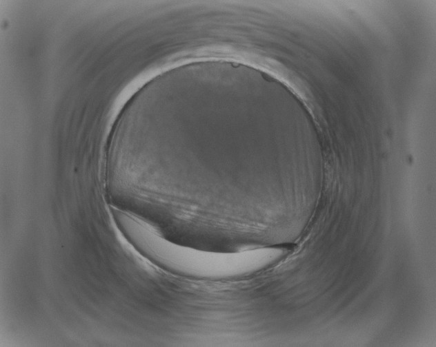 X0000083651527200703121732