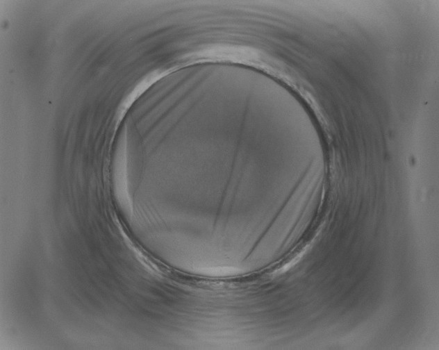 X0000083651529200703121732