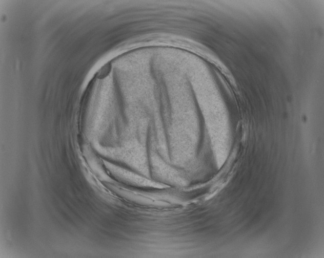 X0000083651530200703121732