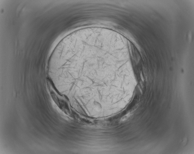 X0000083651532200703121732