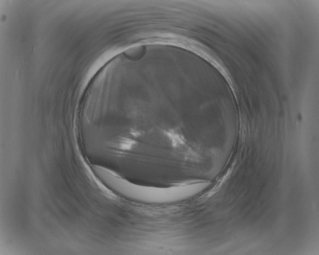 X0000083651533200703121732