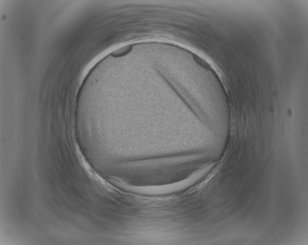 X0000083651534200703121732