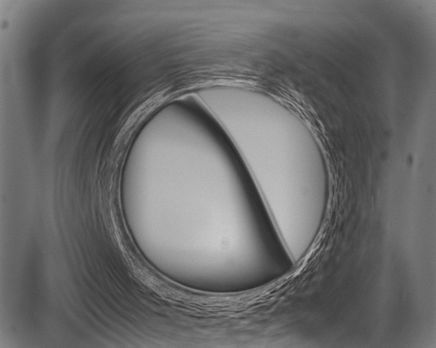 X0000083660001200702120851