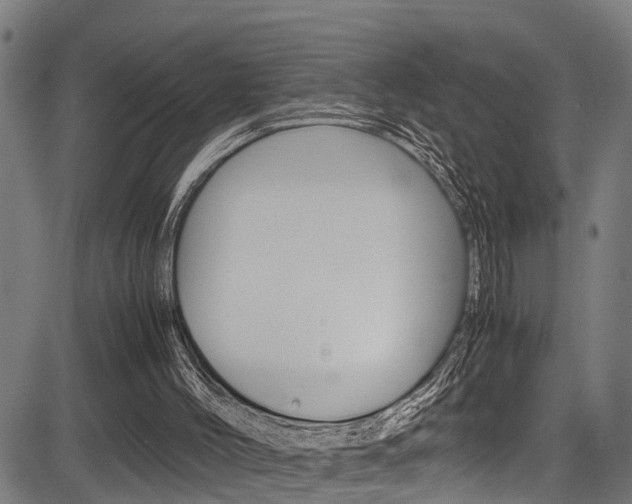 X0000083660004200702120851