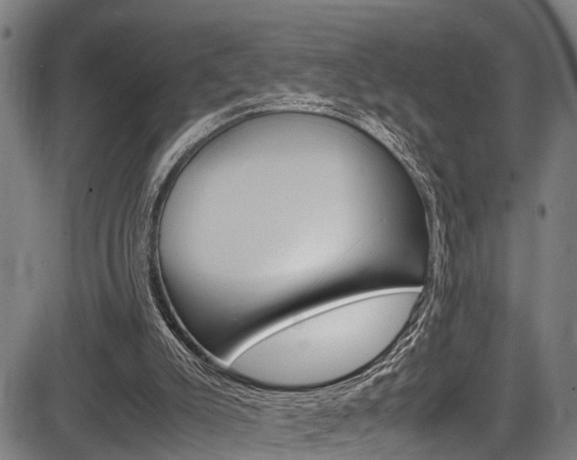 X0000083660007200702120851