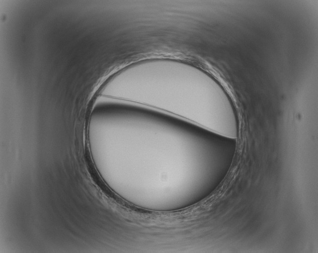 X0000083660011200702120851