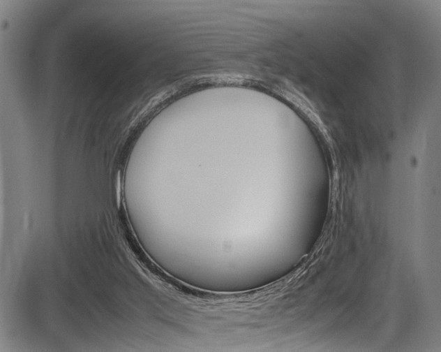 X0000083660013200702120851
