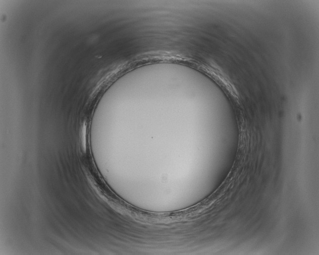X0000083660014200702120851