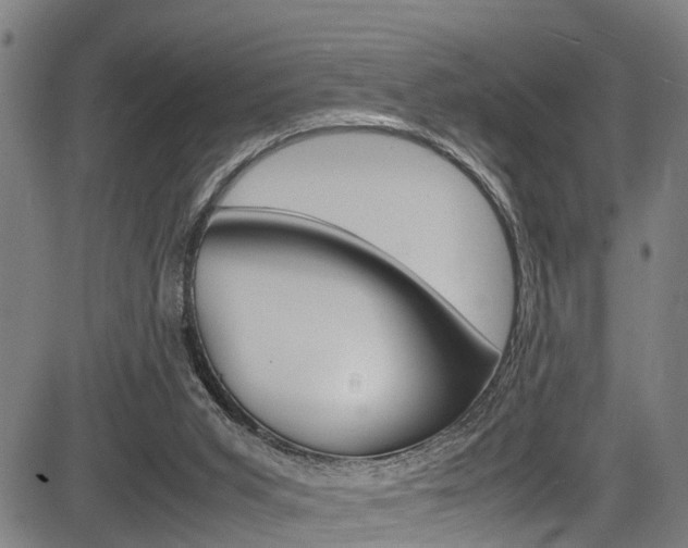 X0000083660015200702120851