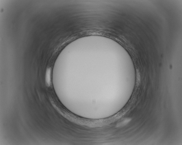 X0000083660028200702120851