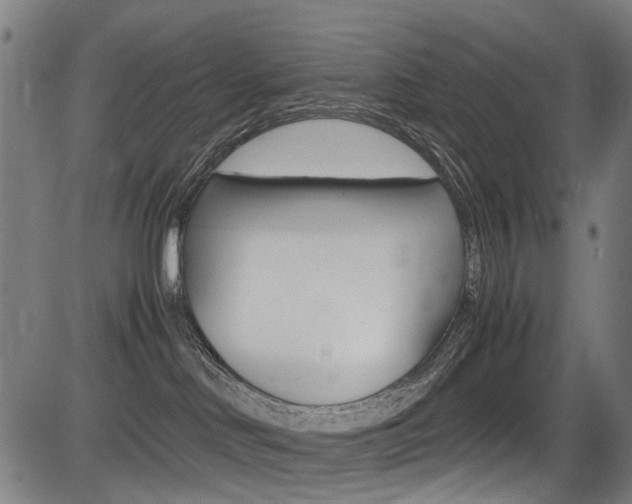 X0000083660046200702120850
