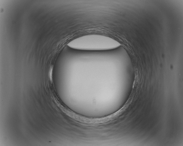 X0000083660047200702120850