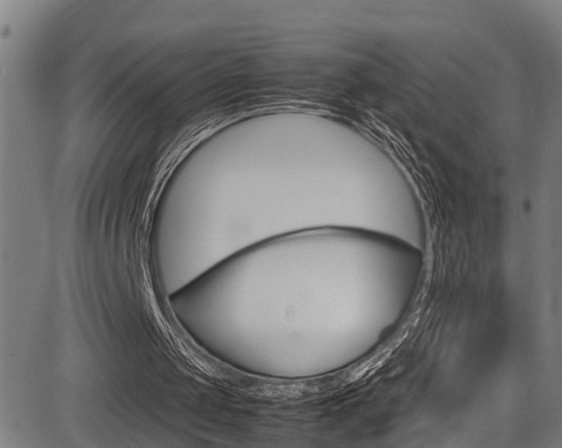 X0000083660049200702120850
