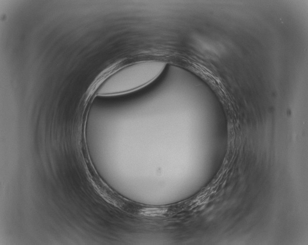 X0000083660051200702120850