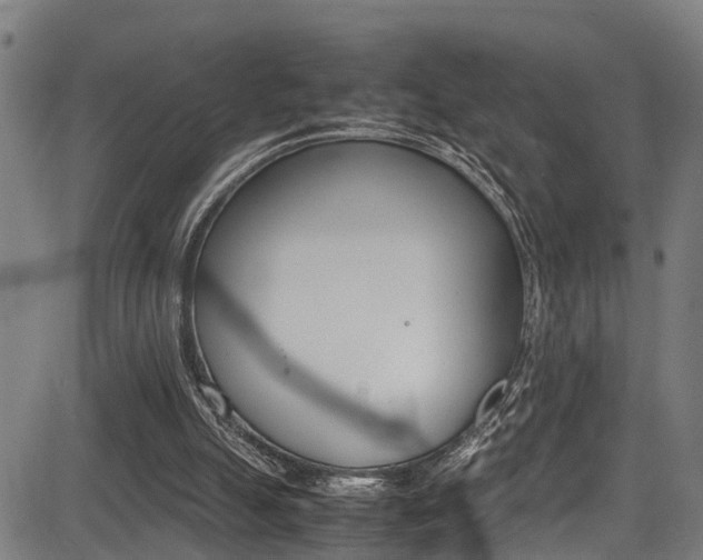X0000083660055200702120850