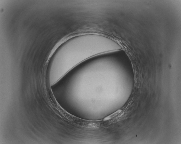 X0000083660056200702120850