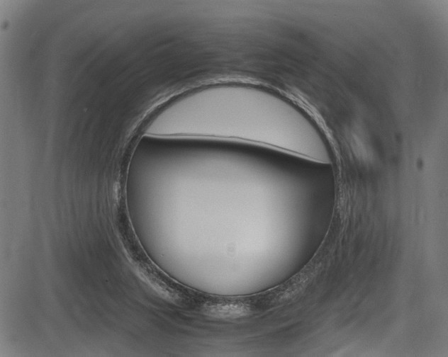 X0000083660063200702120850