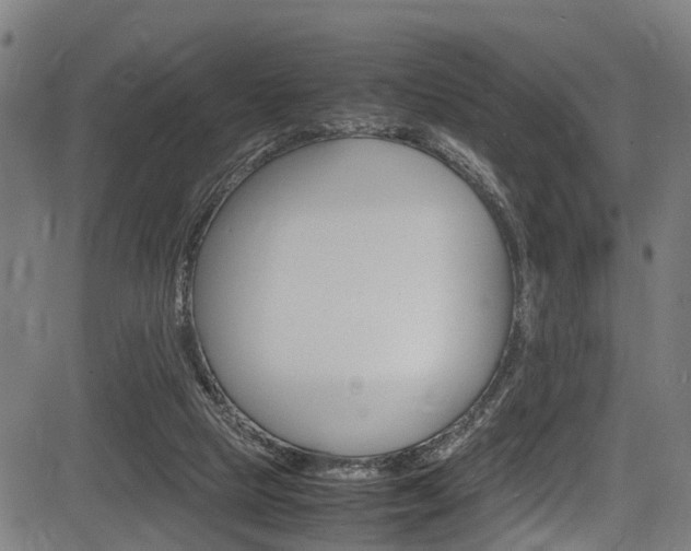X0000083660065200702120850
