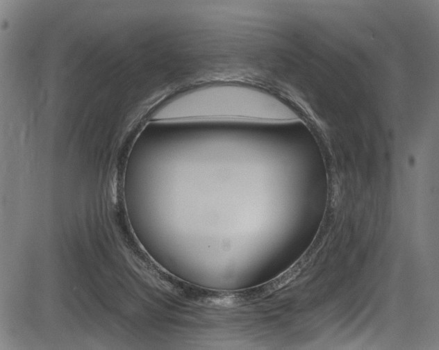 X0000083660068200702120850