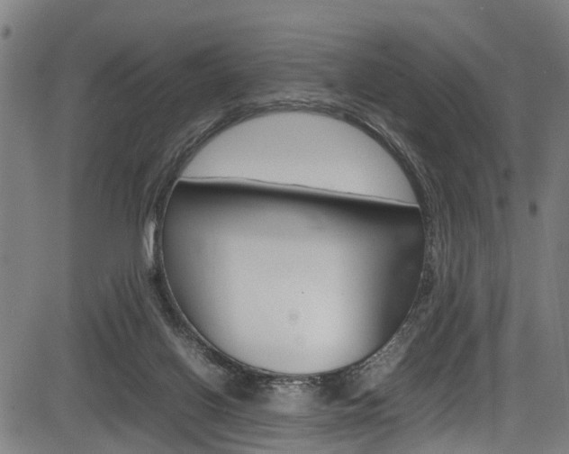 X0000083660070200702120850