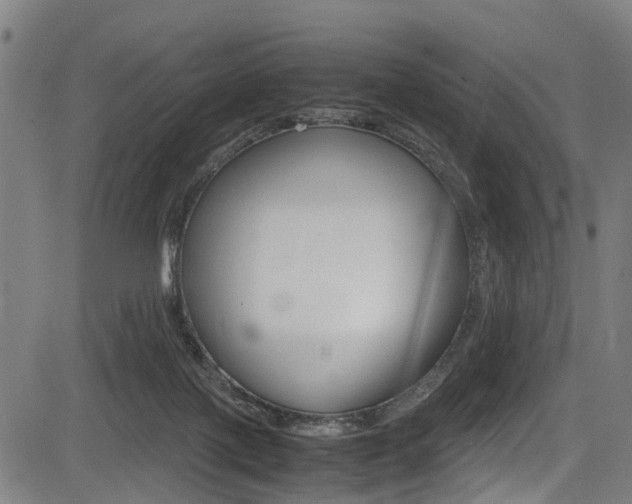 X0000083660075200702120850
