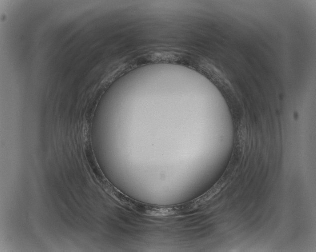 X0000083660079200702120850