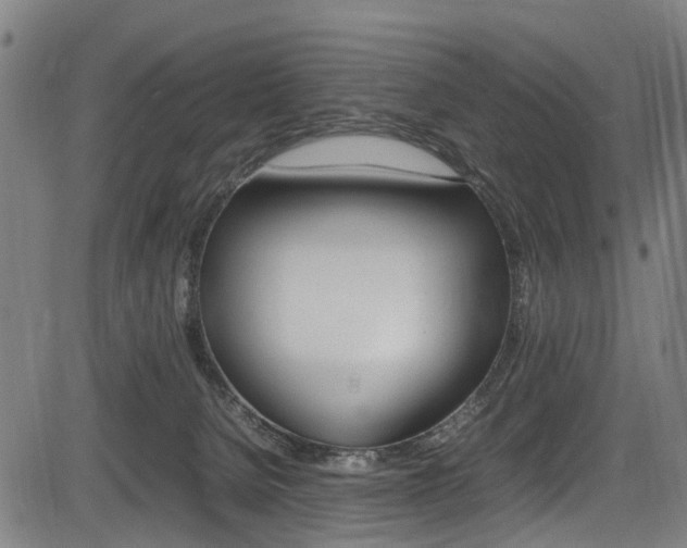 X0000083660080200702120850