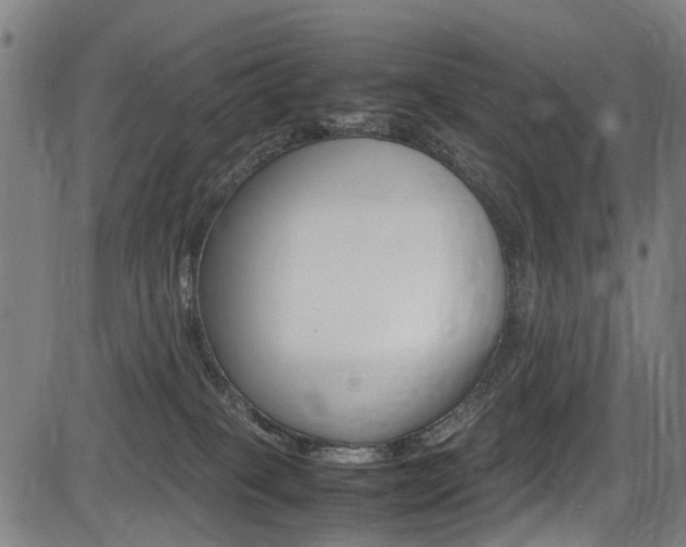 X0000083660085200702120850