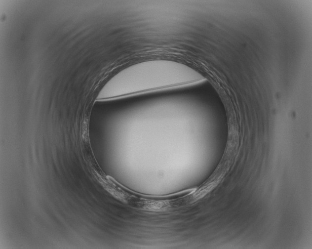 X0000083660096200702120850
