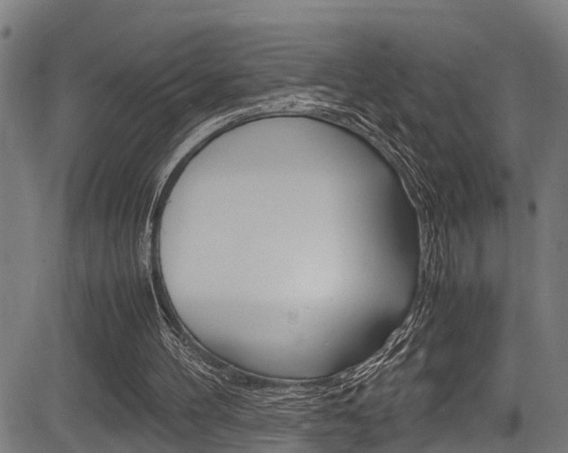 X0000083660100200702120850